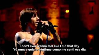 Red Hot Chilli Peppers Under the bridge HD Live Subtitle. Eng// Spa