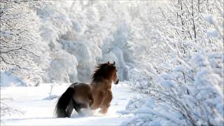 David Arkenstone - Angels in the Snow (Celtic Christmas)