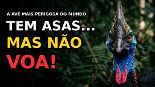Ele Tem Asas, Mas NUNCA Vai Voar: O Segredo do Casuar-Gigante 🦅❌