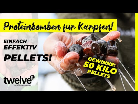 Halibut Pellets = Proteinbomben für Karpfen! ⭐ 50 Kilo Pellets gewinnen ⭐ + Fischöl Tipp!