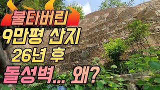 통째로 불탄 월아산 26년 후 일어난 놀라운 기적