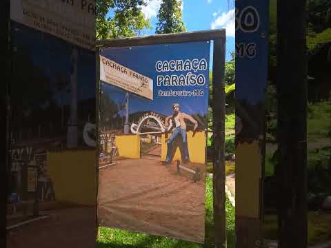 #shorts #short #shortvideo #shortsfeed #shortsviral #brasil #minasgerais #beautiful #nature #art