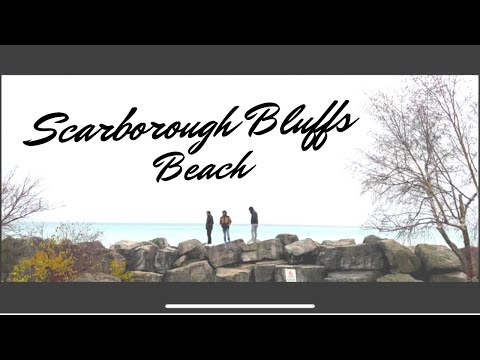 BEST BEACH IN TORONTO | SCARBOROUGH BLUFFS | INTERNATIONAL STUDENTS IN CANADA | I PHONE 13 PRO