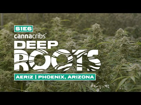 CannaCribs — Aeriz, world's largest aeroponic cannabis farm