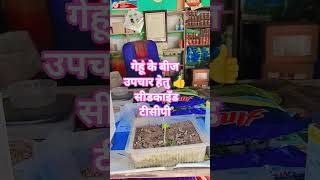 mankind product seedkind tcp