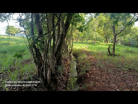 Chácara 20.000M2 Valor 260.000 Região BelaVista deGoiás 60 km Goiânia Terra Escriturada 62981414270 