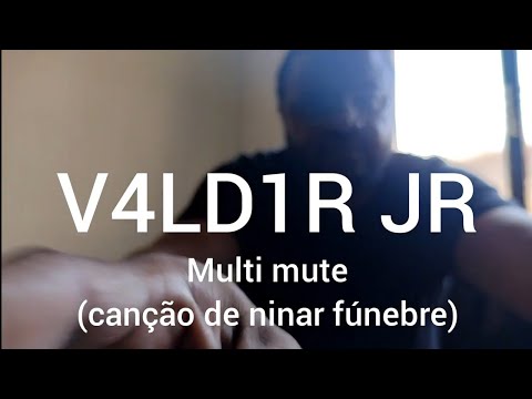Multi Mute - V4ld1r Jr