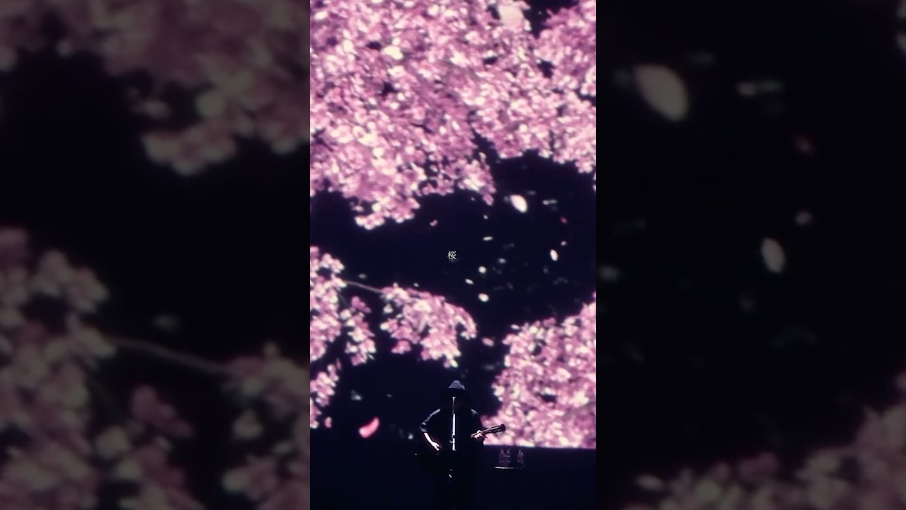 僕等の旅を「青春」なんて　名づけて過去にすんな  #amazarashi　#さくら