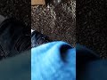 Scream At Me Original Song