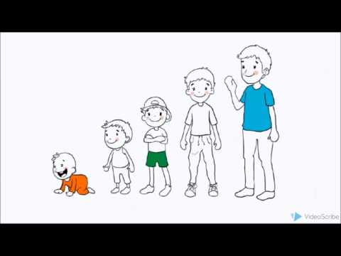 Video Vuelve y Juega Red de Apoyo