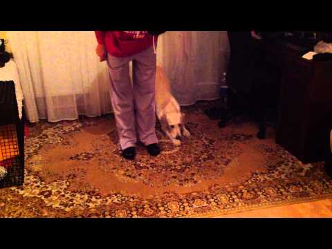 meghajlás lapítással