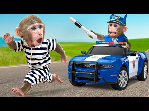 KiKi Monkey become Paw Patrol Police chase thief to Take Care of Duckling | KUDO ANIMAL KIKI