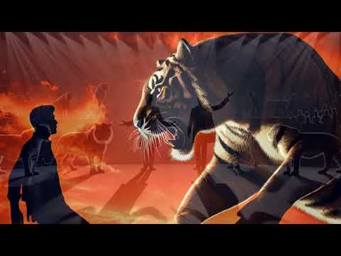 Can You Ever Truly Tame a Wild Animal? The Shocking Reality Behind Siegfried & Roy's Tiger Attack