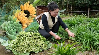 Download lagu Huong's Daily Life: Harvesting Chives and Bananas to Sell at the Market and Taking Care of Pets. mp3 Download lagu Huong's Daily Life: Harvesting Chives and Bananas to Sell at the Market and Taking Care of Pets. mp3
