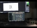 Joey Valence Brae OK Visualizer