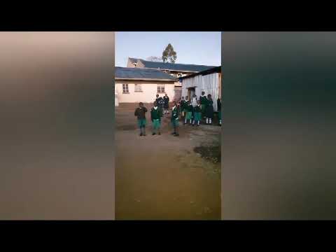 Destiny Hope Rescue Center