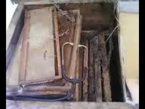 Пчеловодство. Роеловство. Как я совершал первые ошибки и беспокоил пчёл вовремя зимовки. Архив