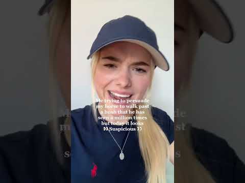 Never back down! Never give up!