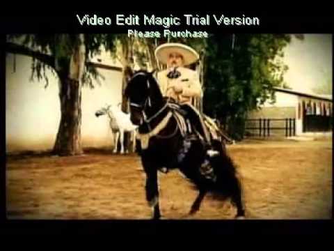 Tus medidas solo en besos .......