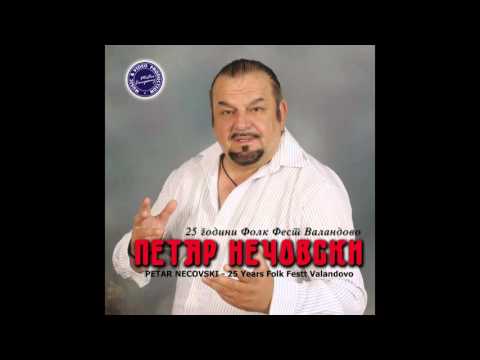 PETAR NECOVSKI - Ako ne se vratis Danice