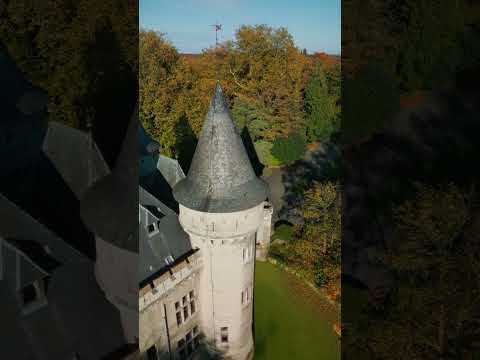 Zellaer Castle 🏰