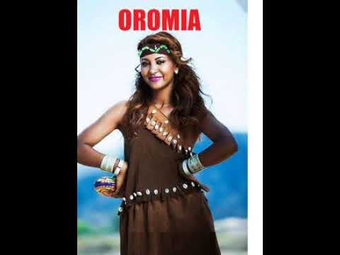 iftu  mohamad ft tajudiin mahamad ( jaalallee kiyya )