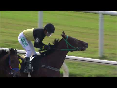 230415 c05 HADDOCK (BRZ)