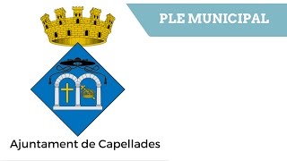 Ple Municipal Capellades 31/05/2017