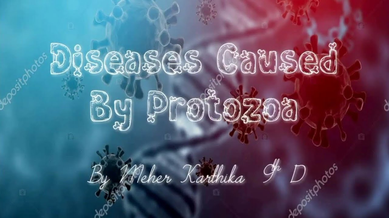 Diseases Caused By Protozoa//Ch-16 Diseases//ICSE Selina class 9// Biology//