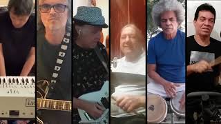 A Cor do Som: Frutificar