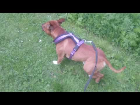 En dag efter förlamningen