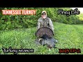 TURKEY HUNTING MY AFTERNOON HUNT FOR BIRD 1 FOR 2023 PINEY LIFE TURKEY 2023 EP 2