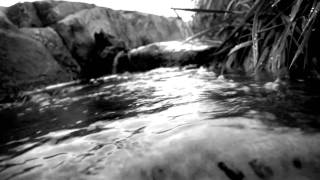 Let It Be Me by Ray LaMontagne