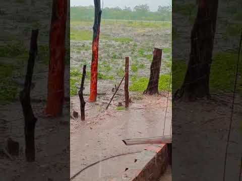 Muita chuva em São José da Lagoa Tapada PB