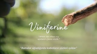 Caudalie - Üzüm bağlarından masallar - Viniferine