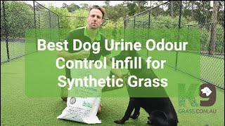 How To Remove Urine Smell From Artificial Grass? ZeoFill® Is The Solution