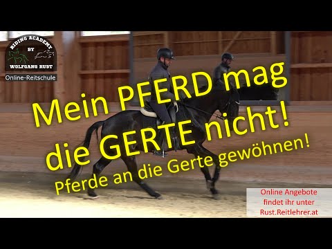 F96 Horse afraid of the whip while riding. How to get your horse used to the whip while riding.