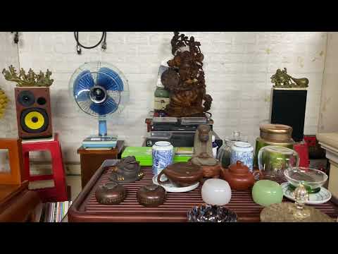 Amply Rogue Sphinx v1   Lh : 0987 594 678