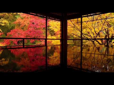 【公式】無量寿山光明寺 京都本院 瑠璃光院 | 京都 八瀬大原