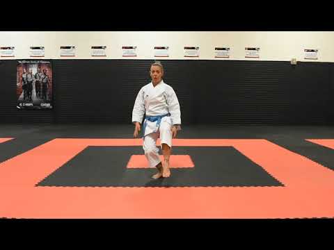 Neko Ashi Dachi (Cat Stance)