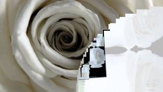 Eros Ramazzotti &amp; Andrea Bocelli -Nel Cuore Lei