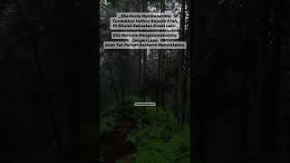 Download lagu Ya Allah 🤲#fypyoutube #fypviralシ #storywa #katahatimotivasi #sabdarasulullah  mp3