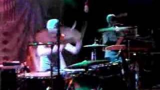 the locust - aotkpta