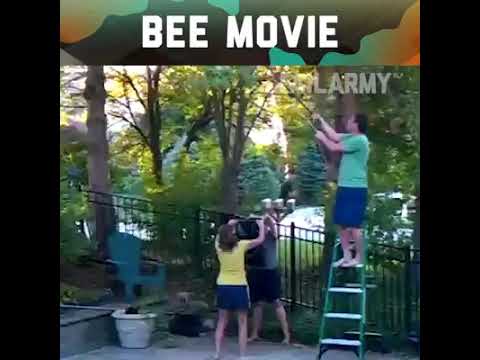 Bee attack | funny peoples