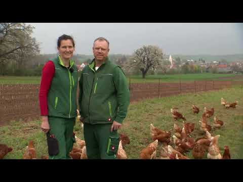 Genussland Österreich 5/2022 ORF3: Genussradeln im Burgenland