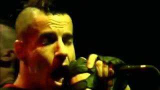 Red Hot Chili Peppers - Give It Away - Live Off The Map [HD]