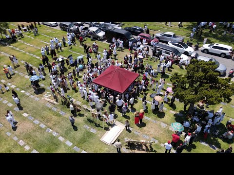 Tenelle - Mo'omo'oga (Official Lyric Video) feat. Nyssa Collins