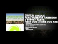 Danilo Ercole featuring Roberta Harrison & Steven ...
