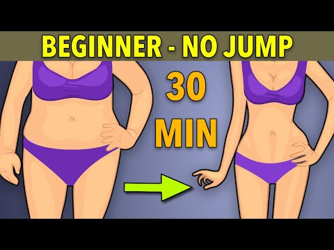 30-MIN FAT LOSS WORKOUT FOR BEGINNERS - NO JUMPING ROUTINE