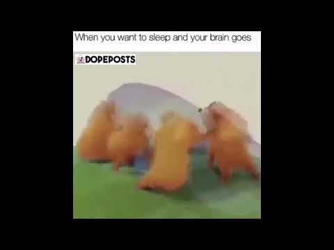 Bears Dancing to “Sweet Dreams”